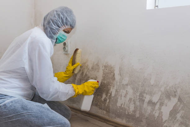 Best Mold Testing  in Saratoga, WY