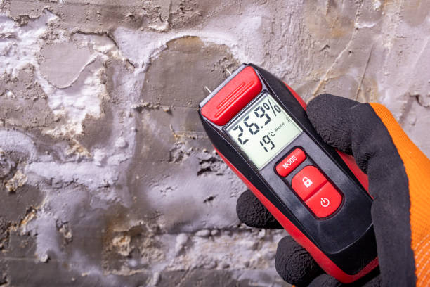 Saratoga, WY Mold Removal Company