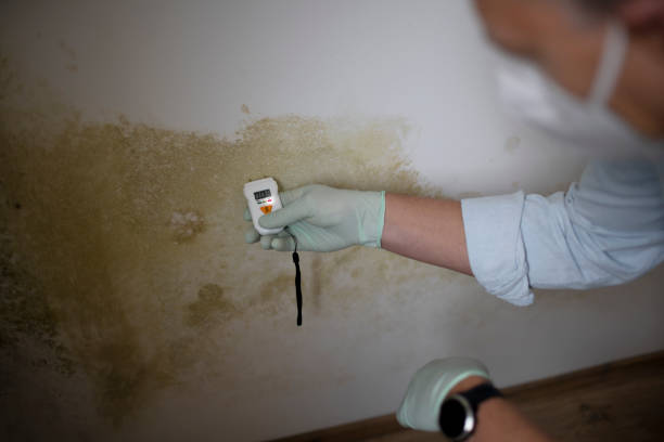 Best Mold Cleaning Services  in Saratoga, WY