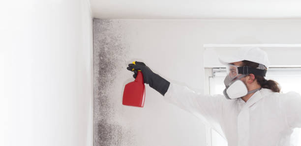 Best Office Mold Removal Services  in Saratoga, WY