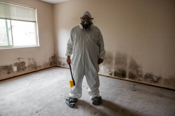 Best Fast Mold Removal  in Saratoga, WY